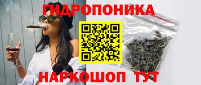 индика Новокубанск