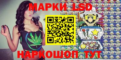 индика Новокубанск