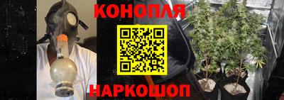 индика Новокубанск