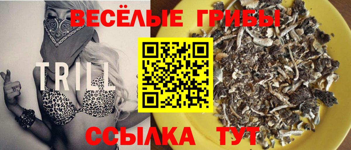 Холмск  Галлюциногенные грибы GOLDEN TEACHER  Псилоцибиновые грибы прущие грибы  Вход с VPN 