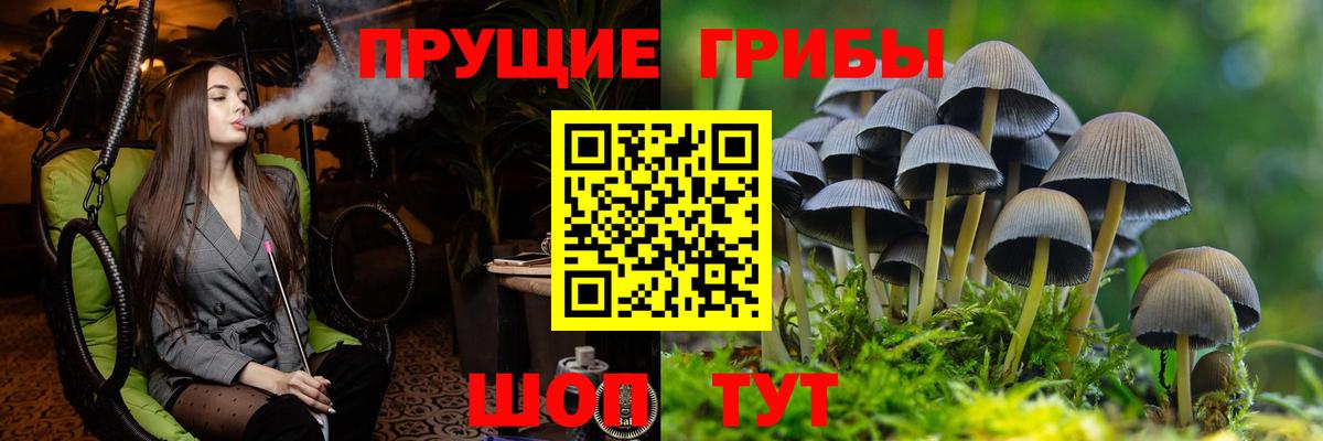 Галлюциногенные грибы ЛСД Холмск